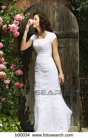 A young modern bride smelling a flower View Large Photo Image Picture - A young modern bride smelling a flower. Fotosearch
