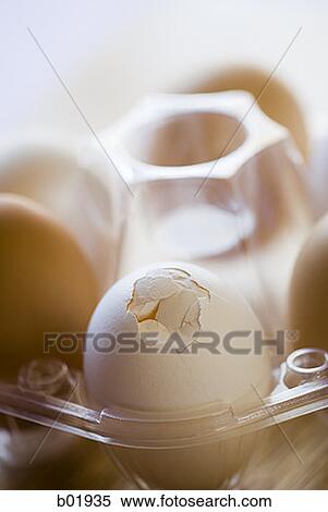Close-up of a broken egg in a container View Large Photo Image Stock Photography - Close-up of a broken egg in a container. Fotosearch