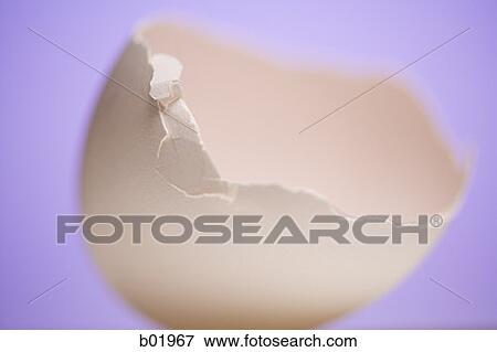 Close-up of a broken egg shell View Large Photo Image Stock Photo - Close-up of a broken egg shell. Fotosearch