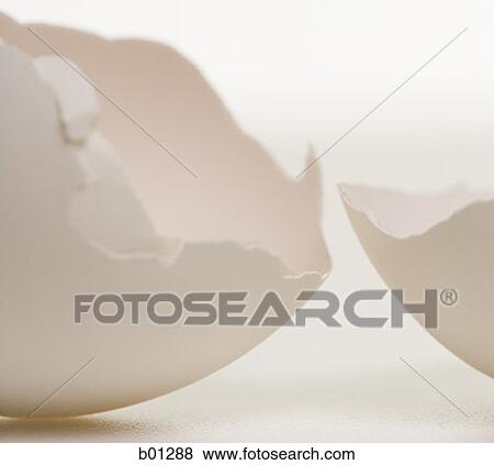 Close-up of a broken egg View Large Photo Image Stock Photo - Close-up of a broken egg. Fotosearch