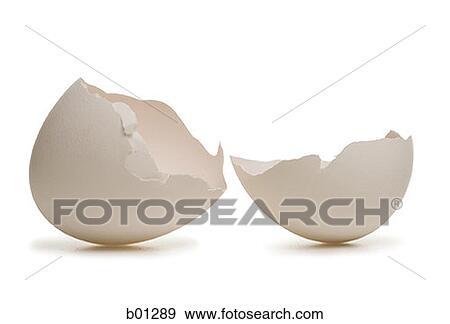 Close-up of a broken egg View Large Photo Image Stock Photo - Close-up of a broken egg. Fotosearch