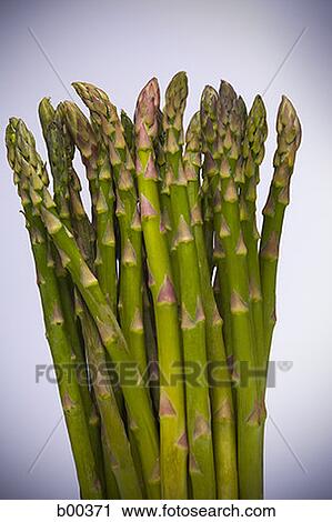 Stock Image - Close-up of a bunch of asparagus stems. Fotosearch