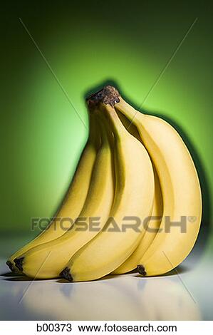 Close-up of a bunch of banana (Musa paradisiaca L) View Large Photo Image Stock Image - Close-up of a bunch of banana (Musa paradisiaca L). Fotosearch