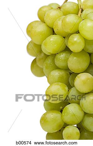 Close-up of a bunch of grapes (Citrus paradisi) View Large Photo Image Picture - Close-up of a bunch of grapes (Citrus paradisi). Fotosearch