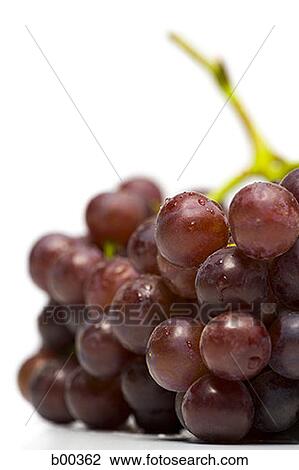 Close-up of a bunch of grapes (Citrus paradisi) View Large Photo Image Stock Image - Close-up of a bunch of grapes (Citrus paradisi). Fotosearch