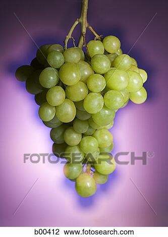 Stock Image - Close-up of a bunch of grapes (Citrus paradisi). Fotosearch