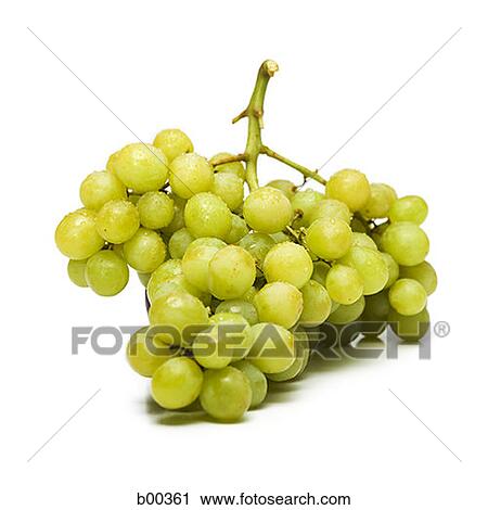 Close-up of a bunch of green grapes (Citrus paradisi) View Large Photo Image Stock Image - Close-up of a bunch of green grapes (Citrus paradisi). Fotosearch