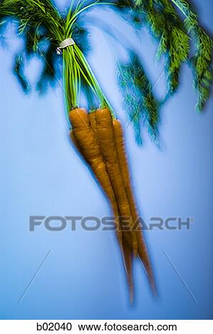 Close-up of a carrots View Large Photo Image Stock Image - Close-up of a carrots. Fotosearch