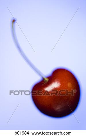 Close-up of a cherry View Large Photo Image Picture - Close-up of a cherry. Fotosearch