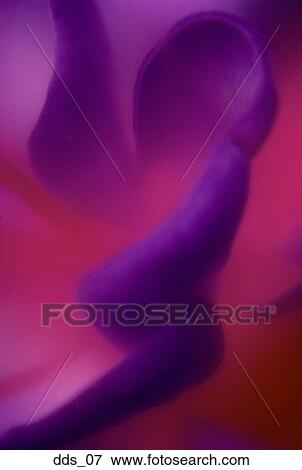 Close-up of a flower View Large Photo Image Stock Photo - Close-up of a flower. Fotosearch