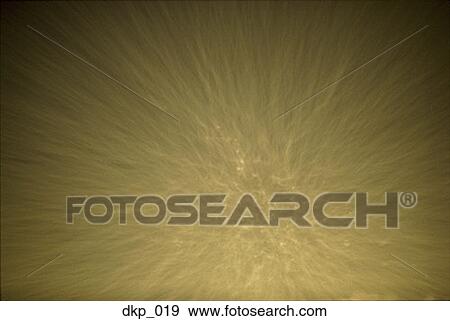 Close-up of a light pattern View Large Photo Image Stock Photo - Close-up of a light pattern. Fotosearch
