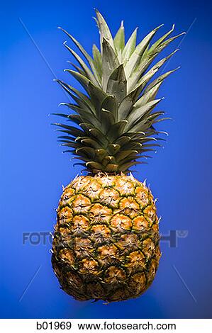 Close-up of a pineapple View Large Photo Image Stock Photo - Close-up of a pineapple. Fotosearch