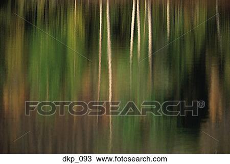 Close-up of a reflection of greenery on water View Large Photo Image Stock Image - Close-up of a reflection of greenery on water. Fotosearch