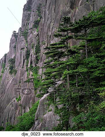 Close-up of a rock face View Large Photo Image Stock Image - Close-up of a rock face. Fotosearch