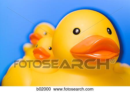 Close-up of a rubber duck View Large Photo Image Stock Image - Close-up of a rubber duck. Fotosearch