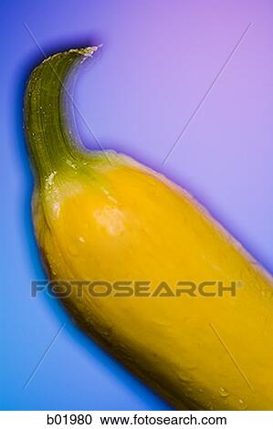 Close-up of a summer squash View Large Photo Image Stock Image - Close-up of a summer squash. Fotosearch
