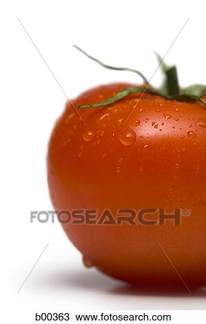 Close-up of a tomato (Lycopersicon esculentum cerasiforme) View Large Photo Image Stock Image - Close-up of a tomato (Lycopersicon esculentum cerasiforme). Fotosearch