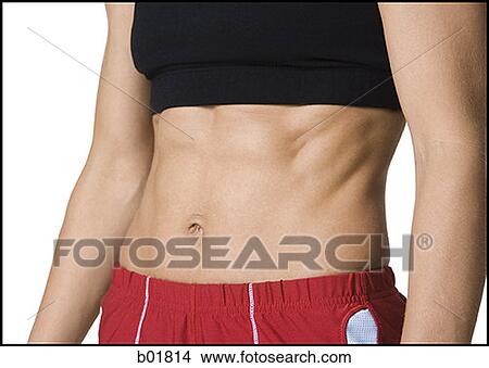 Close-up of a woman's abdominal muscles View Large Photo Image Picture - Close-up of a woman's abdominal muscles. Fotosearch