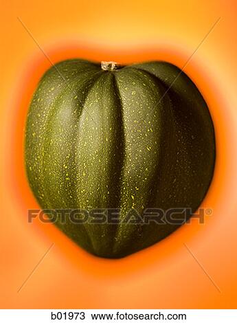Close-up of an acorn squash View Large Photo Image Stock Image - Close-up of an acorn squash. Fotosearch