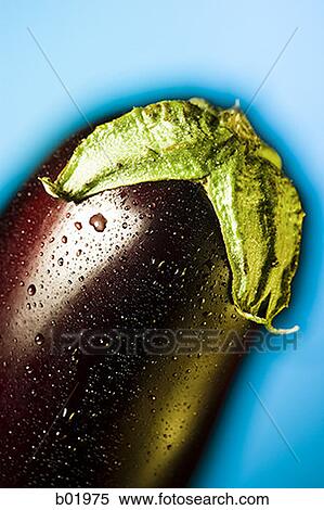 Close-up of an eggplant View Large Photo Image Stock Photography - Close-up of an eggplant. Fotosearch