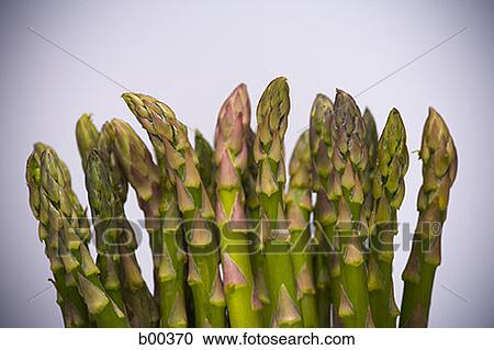 Close-up of asparagus stems View Large Photo Image Stock Image - Close-up of asparagus stems. Fotosearch