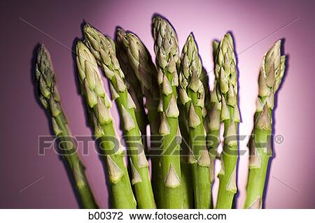 Close-up of asparagus stems View Large Photo Image Stock Image - Close-up of asparagus stems. Fotosearch