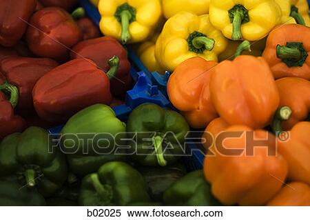 Close-up of bell peppers View Large Photo Image Stock Photography - Close-up of bell peppers. Fotosearch