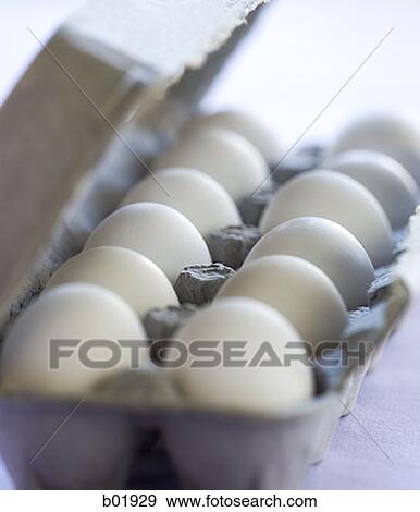 Close-up of eggs in an egg carton View Large Photo Image Stock Photo - Close-up of eggs in an egg carton. Fotosearch