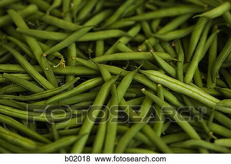 Close-up of green beans View Large Photo Image Stock Photo - Close-up of green beans. Fotosearch