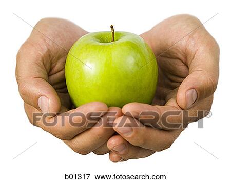 Close-up of hands holding an apple View Large Photo Image Stock Photo - Close-up of hands holding an apple. Fotosearch