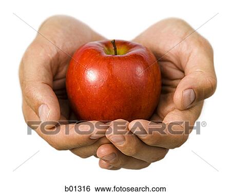 Close-up of hands holding an apple View Large Photo Image Stock Photograph - Close-up of hands holding an apple. Fotosearch