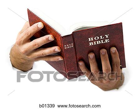 Close-up of hands holding the Bible View Large Photo Image Stock Photo - Close-up of hands holding the Bible. Fotosearch