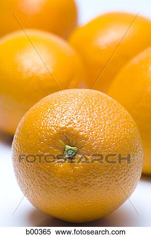 Close-up of oranges (citrus sinensis) View Large Photo Image Stock Photography - Close-up of oranges (citrus sinensis). Fotosearch