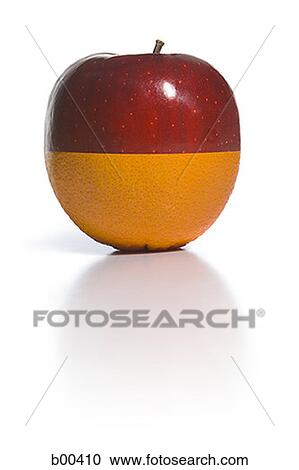 Close-up of the half of an apple (Malus domestica) and half of an orange (citrus sinensis) put together View Large Photo Image Stock Image - Close-up of the half of an apple (Malus domestica) and half of an orange (citrus sinensis) put together. Fotosearch