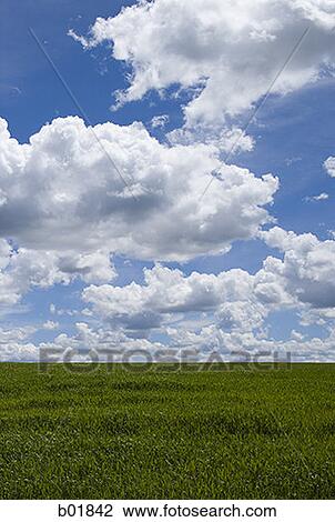 Stock Image - Clouds over a grassy field. Fotosearch