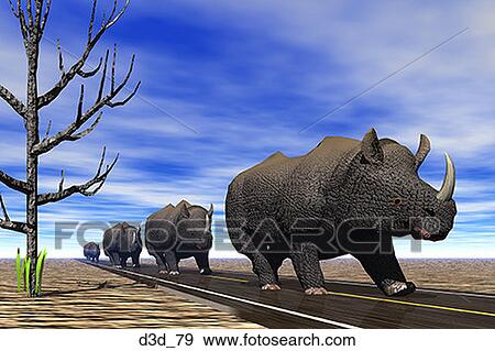 Herd of rhinoceros walking in a line on a road View Large Photo Image Stock Photo - Herd of rhinoceros walking in a line on a road. Fotosearch