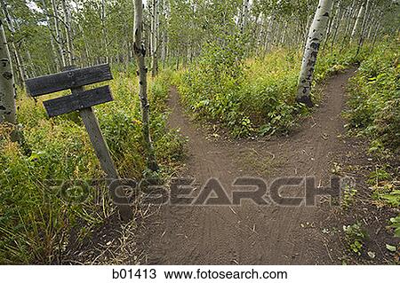 High angle view of a dirt road View Large Photo Image Stock Image - High angle view of a dirt road. Fotosearch