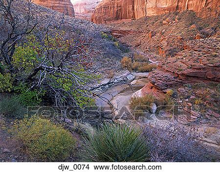 High angle view of a dry river in a canyon View Large Photo Image Picture - High angle view of a dry river in a canyon. Fotosearch