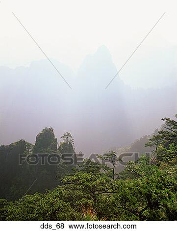High angle view of a forest covered by fog View Large Photo Image Stock Photo - High angle view of a forest covered by fog. Fotosearch