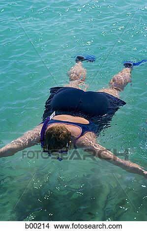 High angle view of a teenage girl swimming View Large Photo Image Picture - High angle view of a teenage girl swimming. Fotosearch