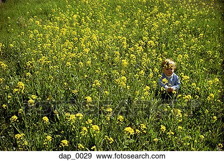 Stock Photo - High angle view of a toddler sitting in a field of flowers. Fotosearch
