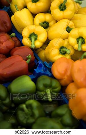 High angle view of bell peppers View Large Photo Image Stock Photograph - High angle view of bell peppers. Fotosearch