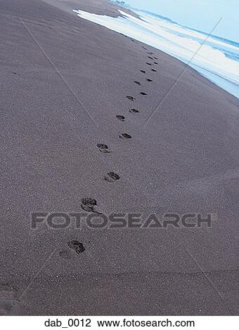 High angle view of footprints in the sand View Large Photo Image Stock Image - High angle view of footprints in the sand. Fotosearch