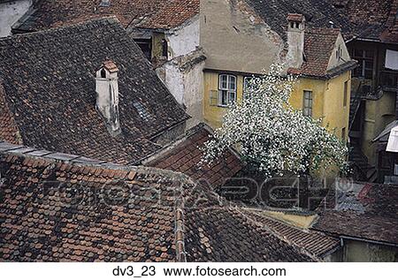 High angle view of houses in a town View Large Photo Image Stock Image - High angle view of houses in a town. Fotosearch