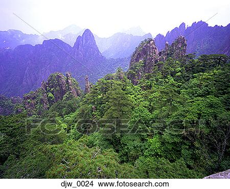 Picture - High angle view of mountain tops in a forest and mountain ranges in the background. Fotosearch