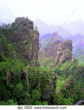 High angle view of mountains in a forest View Large Photo Image Stock Image - High angle view of mountains in a forest. Fotosearch