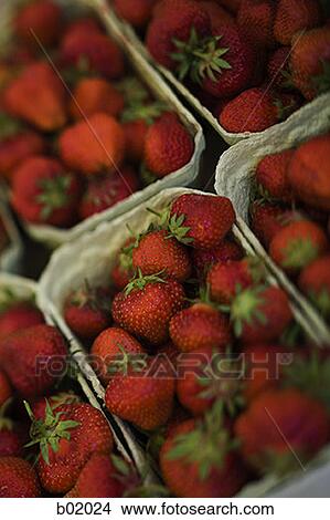 High angle view of strawberries View Large Photo Image Picture - High angle view of strawberries. Fotosearch