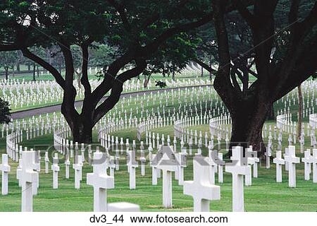 Picture - High angle view of tombstones in a cemetery. Fotosearch