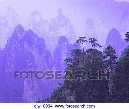 Picture - High angle view of trees on a ridge. Fotosearch