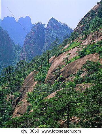 High angle view of trees on a rocky mountain side View Large Photo Image Stock Image - High angle view of trees on a rocky mountain side. Fotosearch